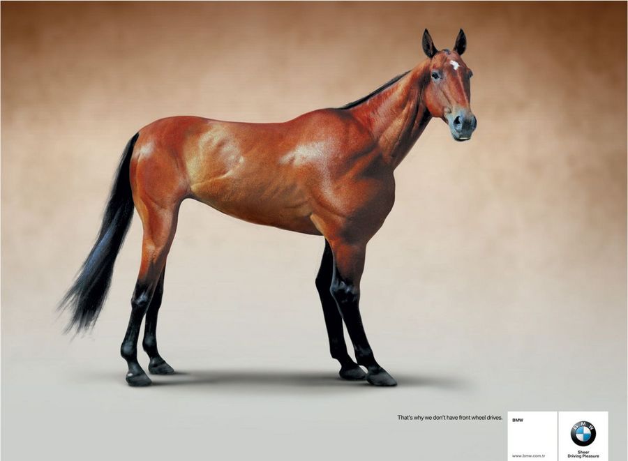 Name:  horse.jpg
Views: 4988
Size:  47.7 KB