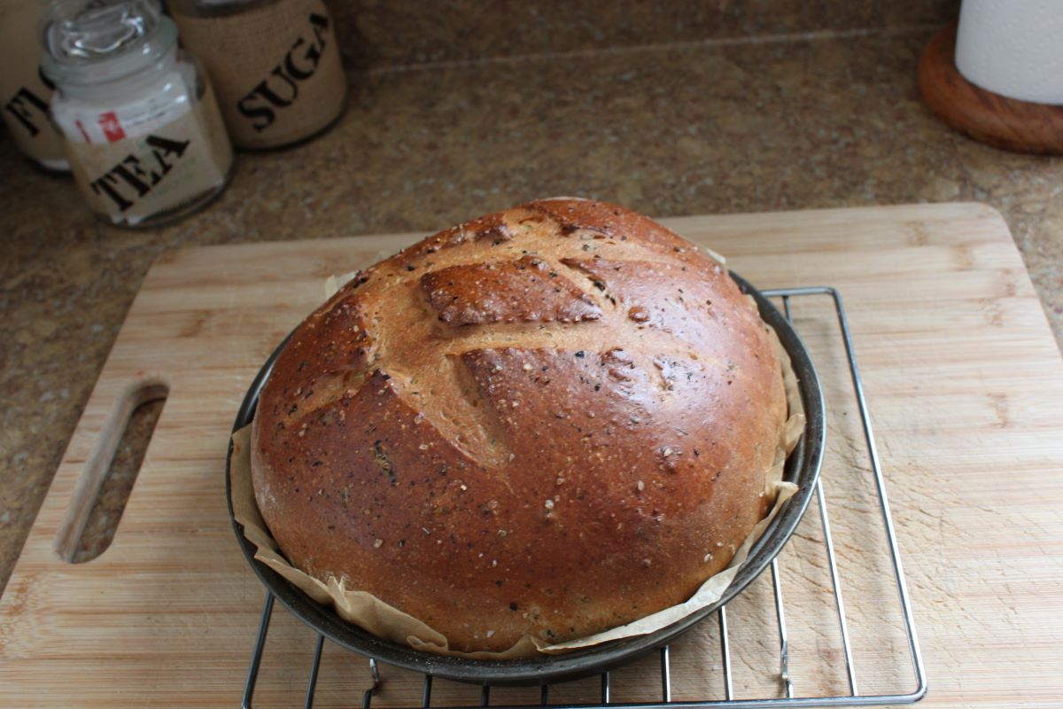 Name:  Olive bread 3.JPG
Views: 3192
Size:  130.0 KB